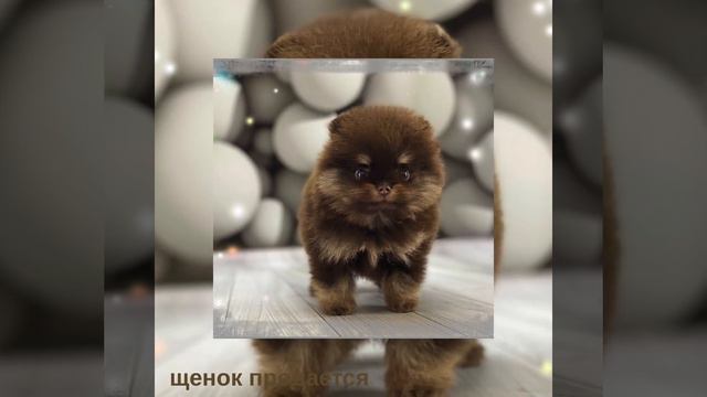 От Марьяши