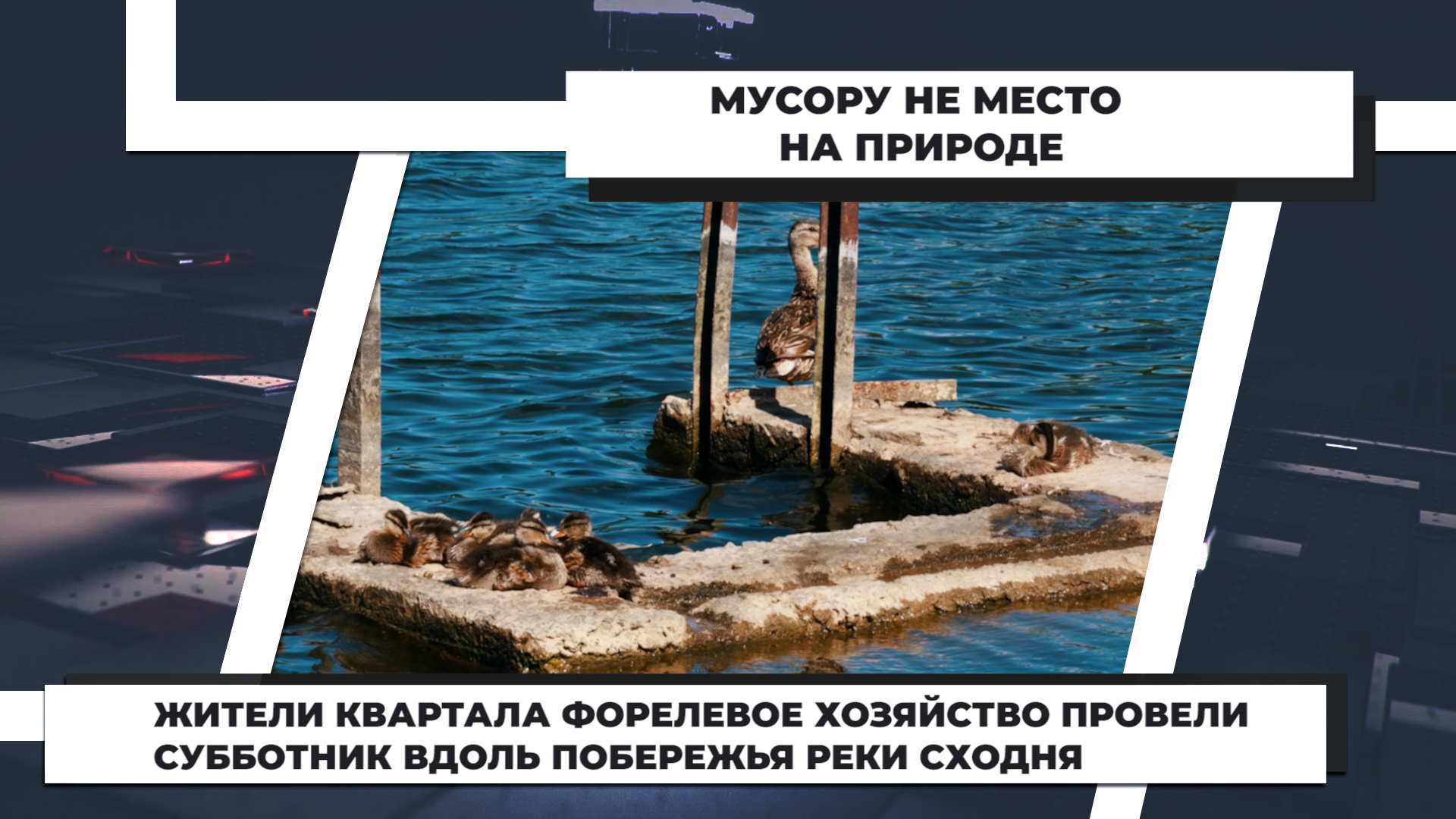 Жители квартала Форелевое хозяйство провели субботник вдоль побережья реки Сходня. 1.08.2022