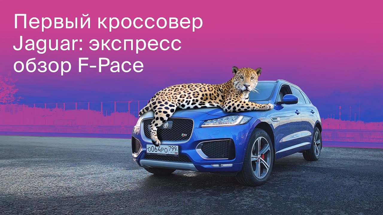 Коротко о главном в Jaguar F-Pace. Экспресс-обзор премиум кроссовера в 2020 году