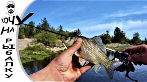 Поймал карася на спиннинг. Окунь на отводной. Белая рыба на ультралайт