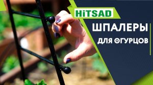 Шпалеры Для Огурцов ✔️ Как подвязать огурцы