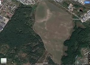 Поиск по пятнам на поле. Тест-драйв катушки 11" DD для F2/F4.