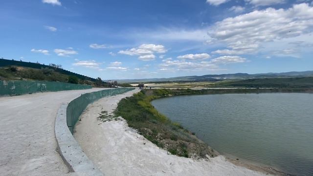 Слониха Магда вспоминает цирк, у меня ПЕРЕХВАТЫВАЕТ ДЫХАНИЕ! смотреть онлайн