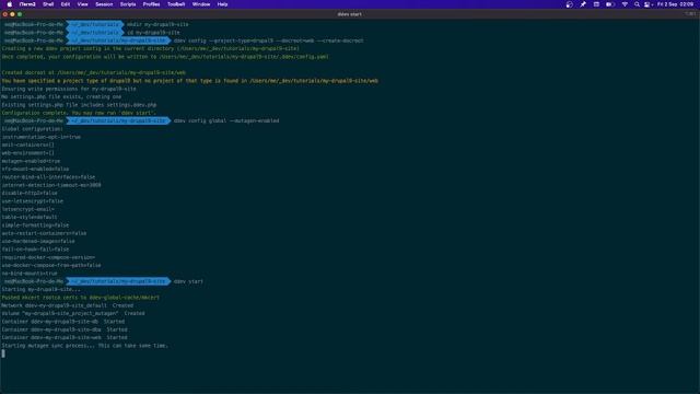 Como montar un entorno de desarrollo local para PHP/Drupal con docker sin saber docker usando DDEV смотреть онлайн