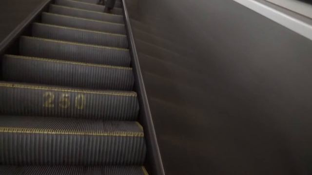Переход со станции метро "Спортивная" на станцию МЦК "Лужники"