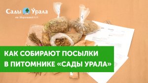 Как отправляют саженцы почтой в питомнике "Сады Урала"?