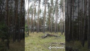 с. Кривец Липецкая область