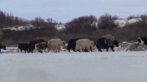 Монголия Самые Страшные и Жуткие Дороги в Мире "Самые опасные путешествия"