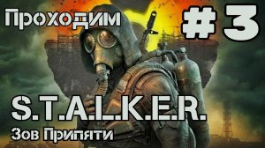 Уютный ламповый стрим. S.T.A.L.K.E.R.: Зов Припяти. Всем фанатам посвящается)