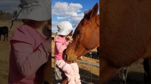 3-Year-Old Sings Horse   ViralHog