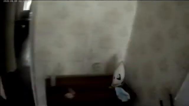 Сильное заражение клопами. смотреть онлайн