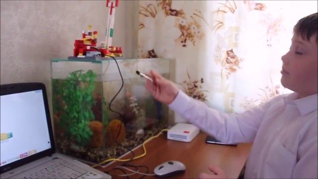 Проект Умный аквариум смотреть онлайн