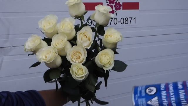 Как сделать  синие розы?
