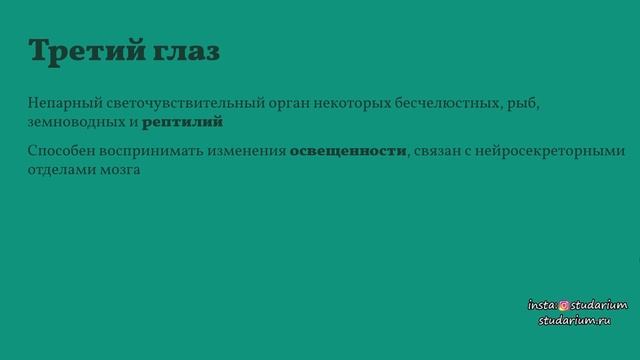 Класс пресмыкающиеся. Ароморфозы. Отряды. Ящерица. Лекция и разбор заданий от Юрия Беллевича