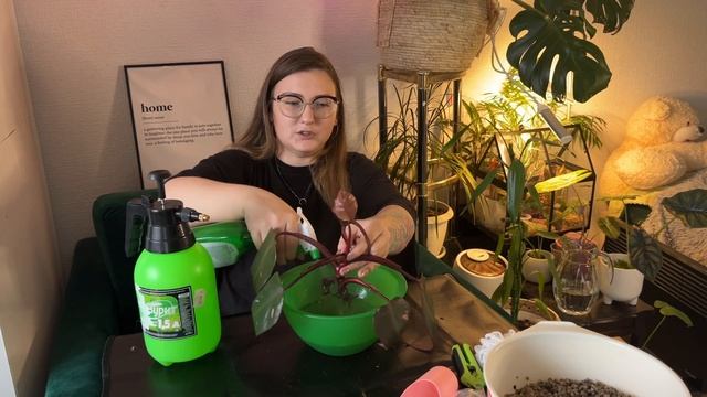 LECHUZA-PON! Что это такое? Мой первый опыт и результат пересадки монстеры и филодендрона. смотреть онлайн