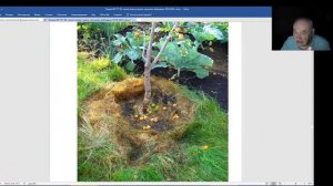 Железов Валерий. Вебинар 178. О подопревании корневой шейки груши.mp4