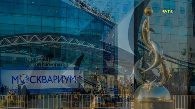 2020 г. Москва. Прогулка по ВДНХ. смотреть онлайн