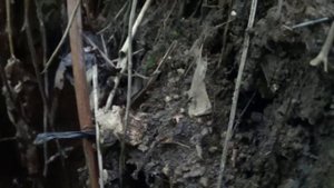 Заброшенная штольня.