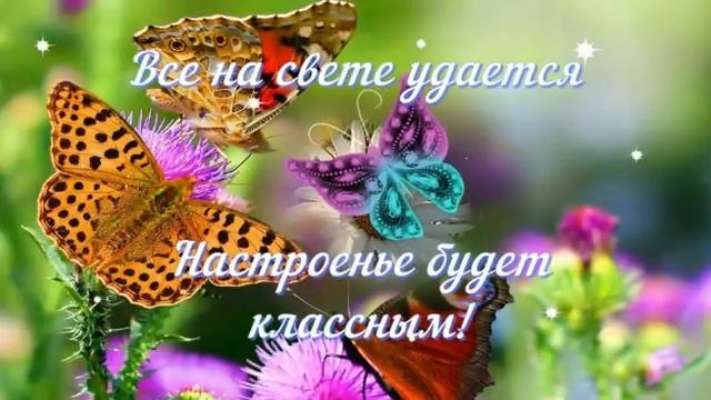 29 сентября 2022 г.(2) смотреть онлайн