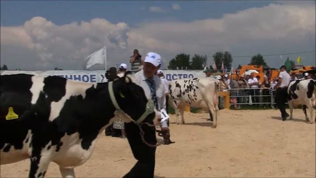 БелАгро-2013. смотреть онлайн