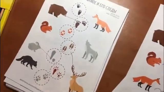 Осень - комплект тематических развивающих заданий от Дарим Позитив смотреть онлайн