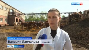 Новых коров высокоудойной породы доставили в одно из сельхозпредприятий Хабаровского края