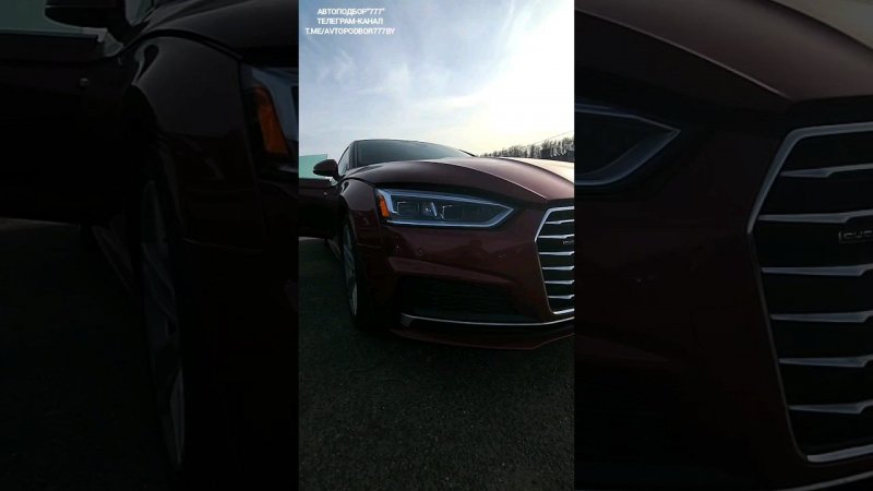 Кривая Audi A5 2019