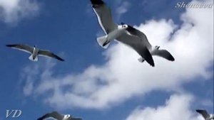 "А жизнь продолжается!" - Катя Ростовцева