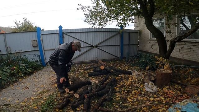 Дивовижна бензопила ланцюгова Dnipro-M DSG-45H на обкатці. смотреть онлайн