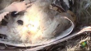 Огонь без спичек - линза изо льда!