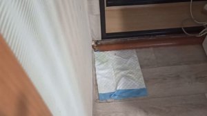 Мой дрожжевой белый хлеб