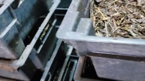 Выращивание червей для рыбалки весь сезон