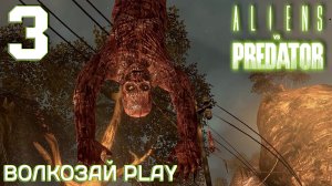 Aliens versus Predator 2010. Прохождение за десантника ─ Часть 3 Джунгли.mkv