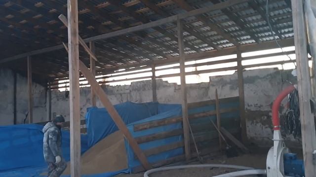 Дробим ячмень зернодробилкой 