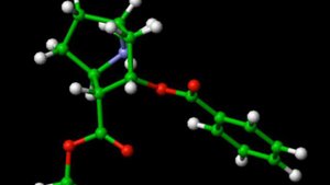 NTL - Снег летом