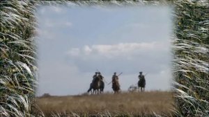 В ДИКОМ ПОЛЕ