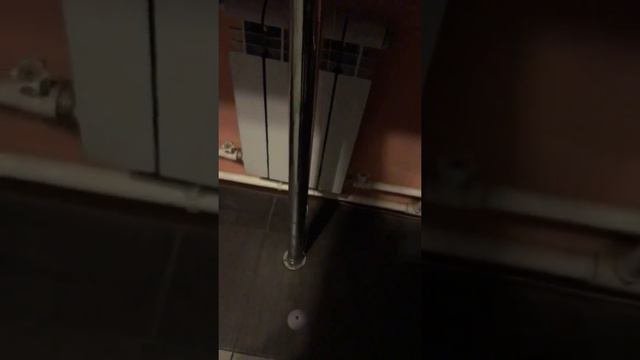 Снасти Алтая собираем на отправку!