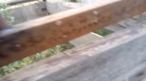 Уличная кормушка для КРС.