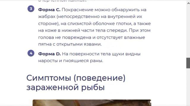Щучья чума. Больная рыба на Чебоксарском водохранилище