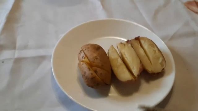 картошка сорта: Королева Анна, Еволюшн