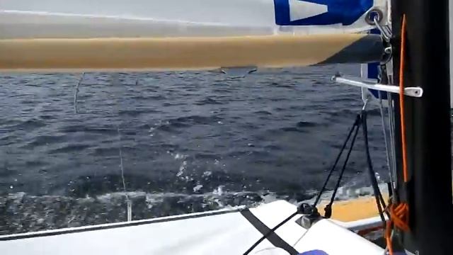 Катамаран TWIN RAZOR смотреть онлайн