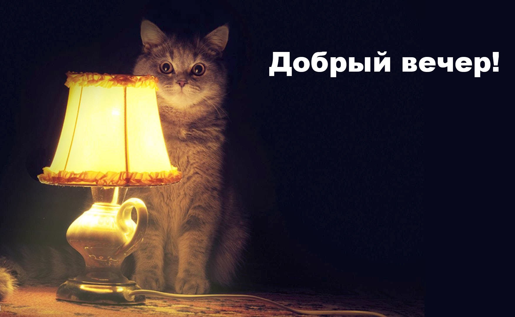 Добрый Вечер!Спокойной Ночи Видео Открытка