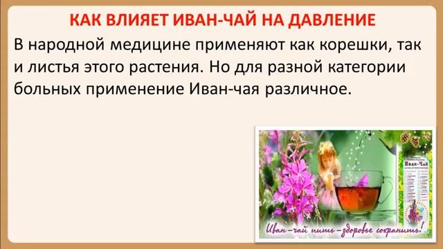 Чай повышает или понижает пульс. Кипрей понижает или повышает давление.