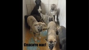 В МП г.Перми много пацанят