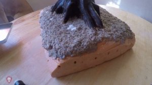 Дерево Бонсай своими руками