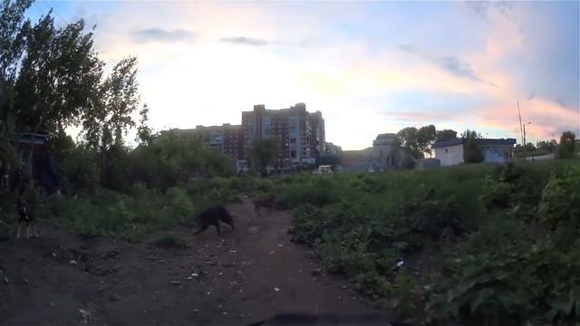 Перцовый баллончик Контроль-УМ против Собак - 6., Перец. г.Омск Город глазами велосипедиста #164 смотреть онлайн