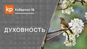 Как полюбить Бога. Любить Бога всем сердцем