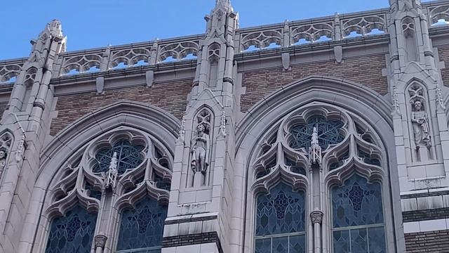 Цветение Японской вишни в University of Washington / Seattle, WA . смотреть онлайн