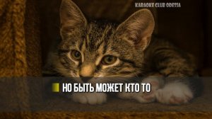 Шатунов Юра = Брошенный Котенок (Karaoke)