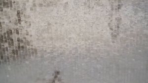 DAF 105.410 Cleaning the radiator (Чистка радиатора системы охлаждения)